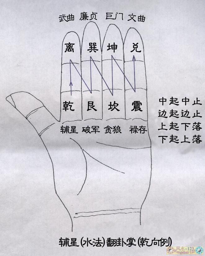 辅星翻卦掌