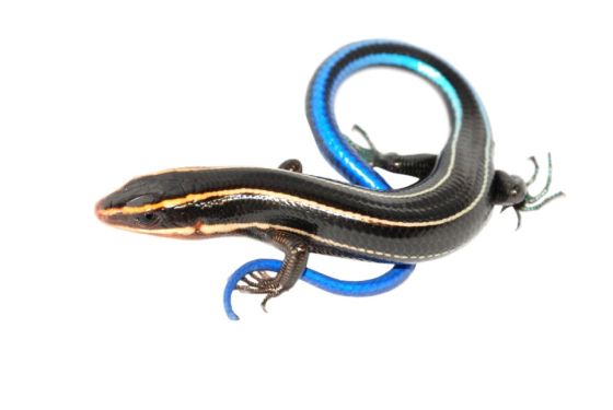 20130529113148647.jpg