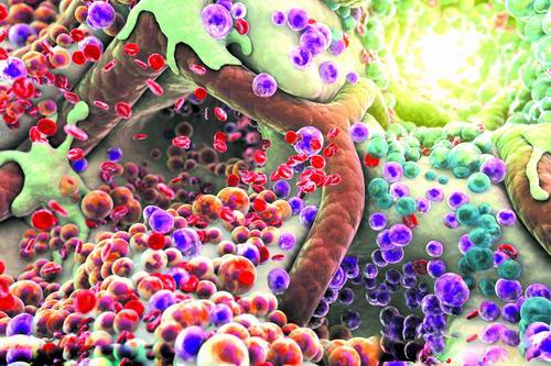 成语梅眼什么_马冬梅马什么梅图片(2)