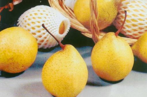 小孩子咳嗽怎么办,999小儿止咳糖浆来帮忙-医