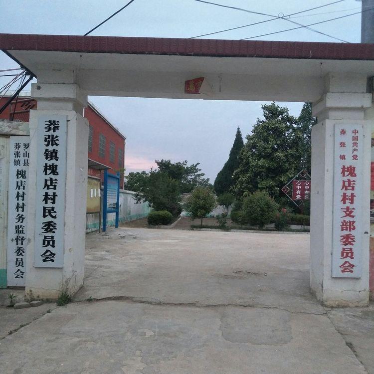 蟒张镇人口_人口普查(3)